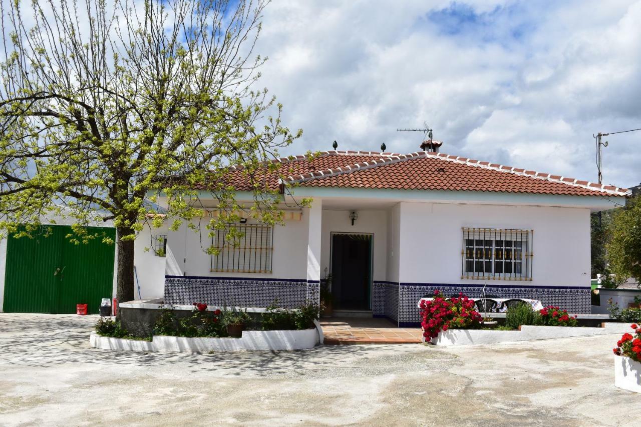 مالقة Casa Rural Alejo المظهر الخارجي الصورة