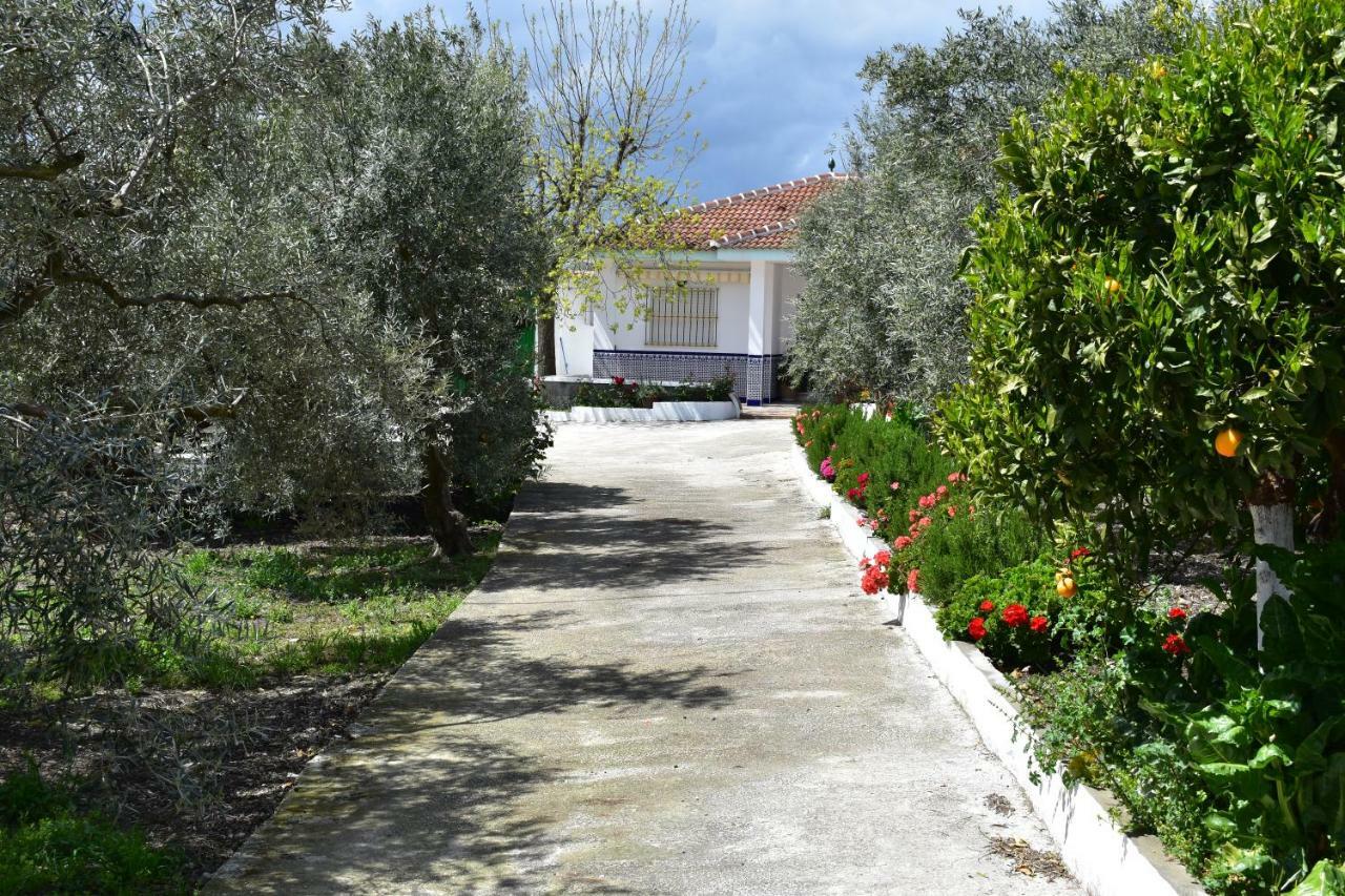 مالقة Casa Rural Alejo المظهر الخارجي الصورة